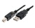 ������ USB 2.0 AM/BM (������), 3.0 m K-531