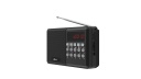  Ritmix RPR-001 Black, FM/USB/MicroSD/AUX/LED 